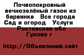 Почвопокровный, вечнозелёный газон из барвинка - Все города Сад и огород » Услуги   . Ростовская обл.,Гуково г.